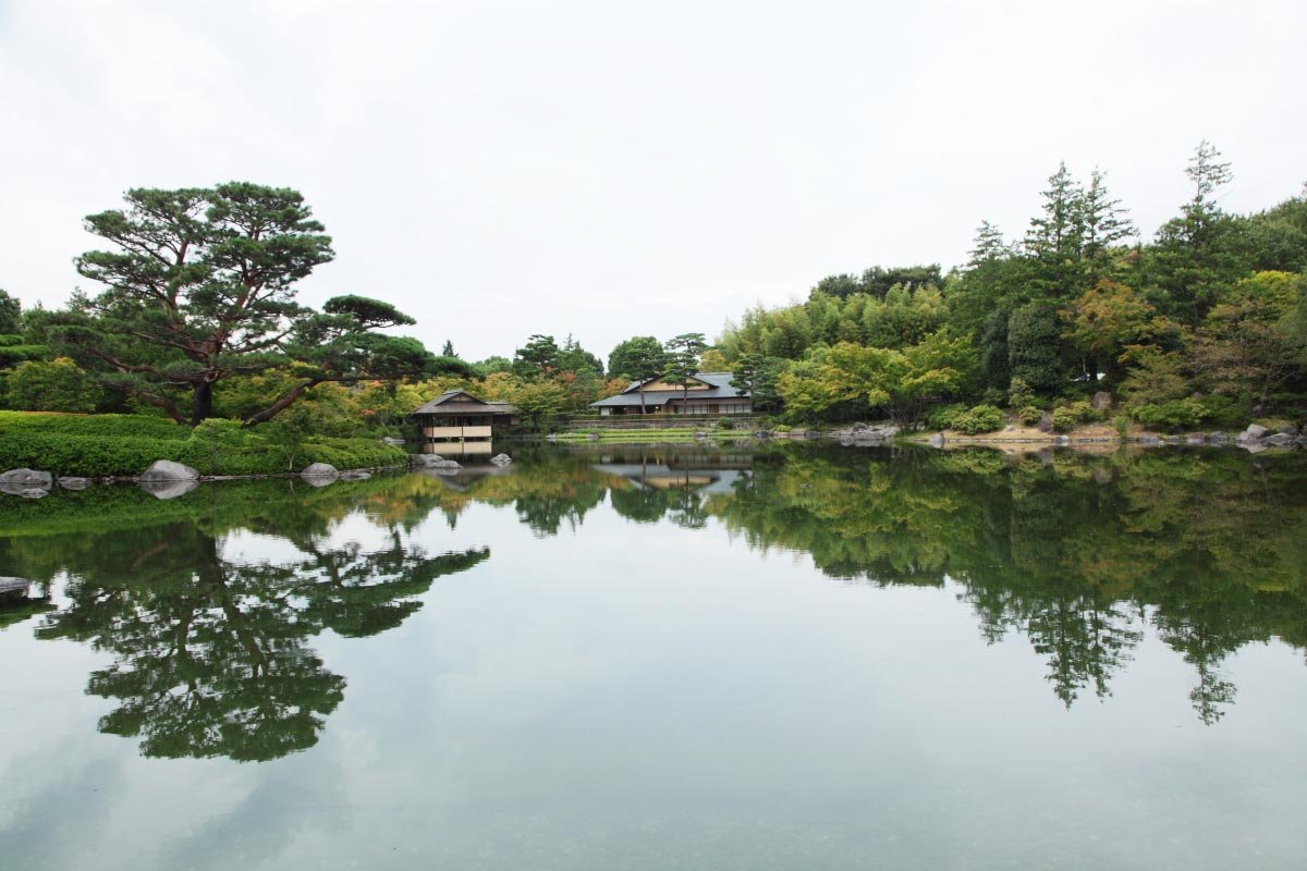 🌳 아이치현 쇼와의 숲 (아이치켄 쇼와노모리) 이미지 7